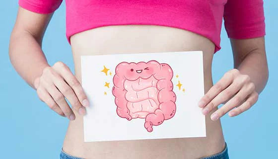 Gut Health Support